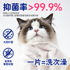 Dr.Riley宠物免洗手套猫咪狗狗干洗澡湿巾神器擦身体全身清洁祛味 8片*2包 商品缩略图6