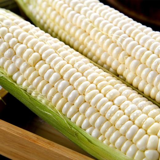 爆浆玉米 400g/份 商品图1