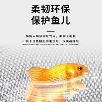 鱼多趣 不锈钢鱼捞中号 可伸缩渔捞鱼网手抄网家用小鱼捞网钓鱼专用渔网 商品图4