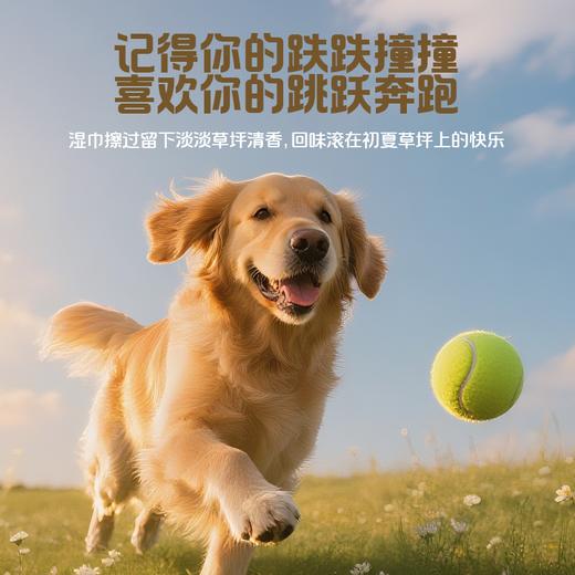 【GX】德佑宠物湿巾猫咪狗狗专用湿纸巾免洗擦脸擦脚去泪痕80片*5包 商品图3