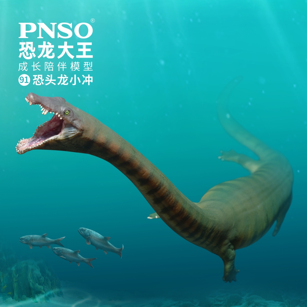 PNSO恐头龙小冲恐龙大王成长陪伴模型91