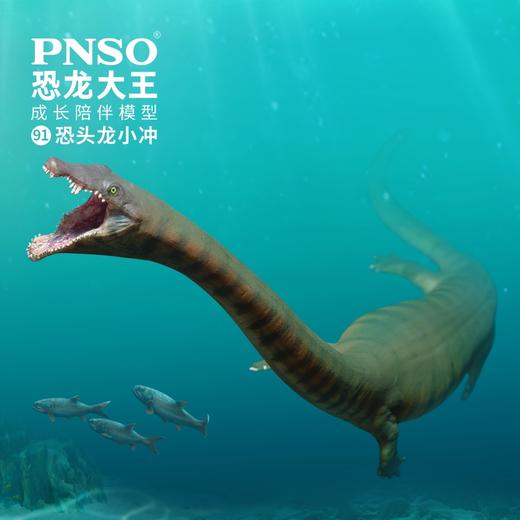 PNSO恐头龙小冲恐龙大王成长陪伴模型91 商品图0