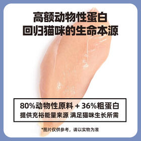 伯纳天纯经典系列通用蓝猫金渐层美短成猫猫粮毛球管理10kg/20斤