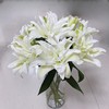 精品百合北极星百合5支 商品缩略图0