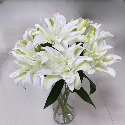 精品百合北极星百合5支 商品图0