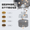 霍曼（Homerun）Real智能自动喂食器猫粮定时猫咪自动投食器（配陶瓷碗） 商品缩略图0