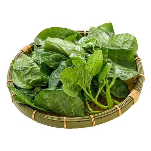 本地软江叶 200g/份 商品图3