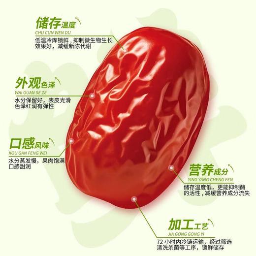 齐力免洗锁鲜红枣 500g/袋 商品图1