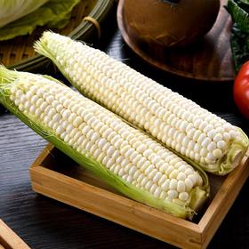 爆浆玉米 400g/份