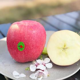 华圣苹果2粒装 约400g-500g/份