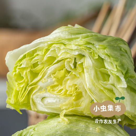 野菜夫人蔬菜套餐（圆白菜（包菜）/娃娃菜/土豆/洋葱/胡萝卜/花菜/紫甘蓝）5斤 | 合作农友生产，来自河北张家口，生产者：李鹏飞 *【公平贸易农人定价】 商品图6