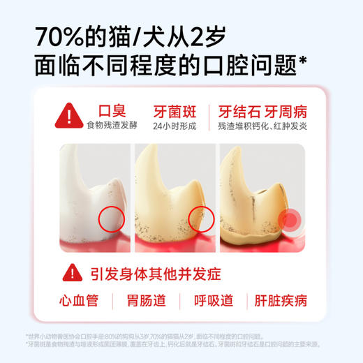 小白牙犬用洁齿水250ml/瓶囤货， 狗狗口腔护理清新口气 商品图4