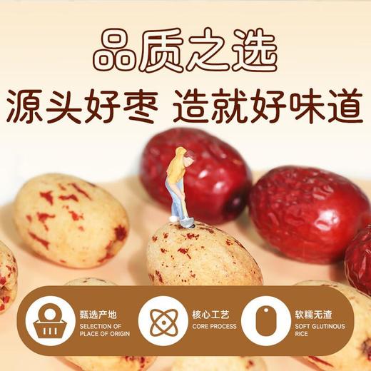 齐力去皮去核枣108g 商品图3