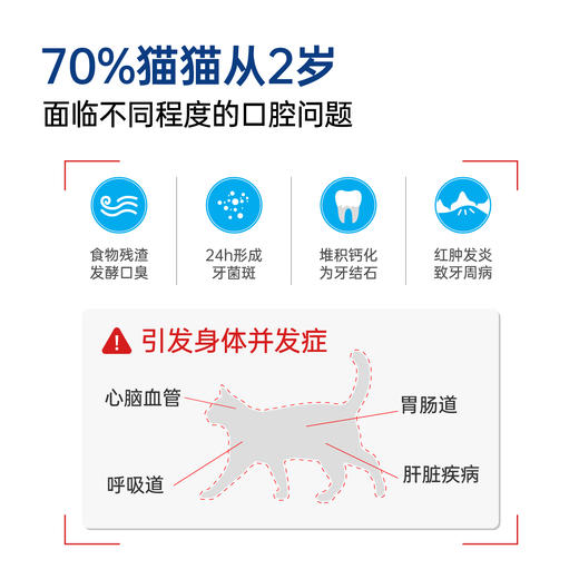 小白牙猫用冻干洁齿棒35g/包  磨牙洁齿 口味可选（鸡肉/羊奶/鱼肉/牛肉） 商品图4