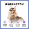 伯纳天纯经典系列通用蓝猫金渐层美短成猫猫粮毛球管理10kg/20斤 商品缩略图4