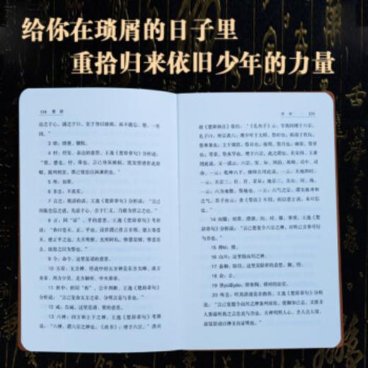 楚辞（羊皮卷） 商品图4