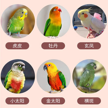 茨格曼鹦鹉饲料1200ml混合鸟粮 五色黍子牡丹虎皮玄凤八哥画芦丁鸡饲料 商品图3