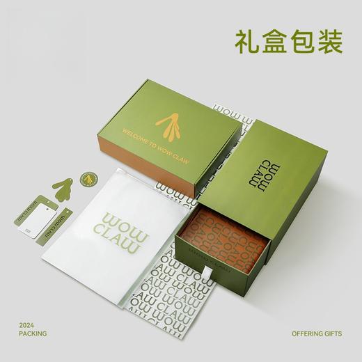 美国WOL儿童溯溪鞋防撞速干防滑 耐磨凉鞋运动涉水鞋|小爪鞋 商品图4