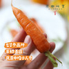 有机胡萝卜（基地直发-顺丰包邮） | 3斤，5斤，来自云南昆明，生产者：王建钧【合作生产，公平贸易 商品缩略图1