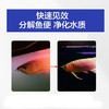 疯狂石头鱼缸活性硝化细菌 鱼池净化水质分解鱼便【硝化细菌600ML装】 商品缩略图6