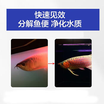 疯狂石头鱼缸活性硝化细菌 鱼池净化水质分解鱼便【硝化细菌600ML装】 商品图6