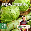 野菜夫人蔬菜套餐（圆白菜（包菜）/娃娃菜/土豆/洋葱/胡萝卜/花菜/紫甘蓝）5斤 | 合作农友生产，来自河北张家口，生产者：李鹏飞 *【公平贸易农人定价】 商品缩略图0