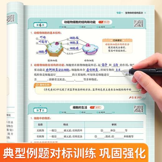 初中趣味默写小四门七八九年级数理化经典例题考点公式默写训练册 商品图6