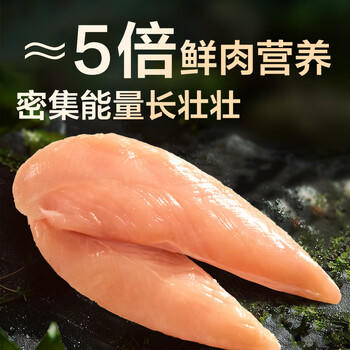 京东京造 冻干鸡小胸500g 0添加猫狗通用宠物零食纯鸡肉高蛋白长肉 商品图4