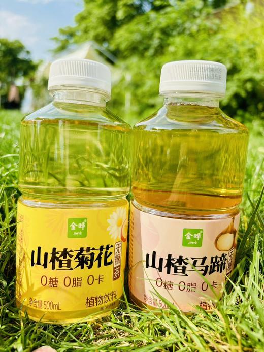 🍃金晔·植物轻饮，自然馈赠的健康美学「0糖0脂0卡，喝出轻盈自在」 健康轻饮，悦享生活——你的春日元气补给站！ 🍃 春日限定美学，治愈系新宠来袭！ 商品图5