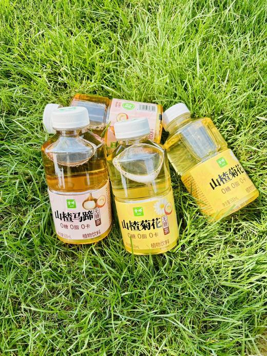 🍃金晔·植物轻饮，自然馈赠的健康美学「0糖0脂0卡，喝出轻盈自在」 健康轻饮，悦享生活——你的春日元气补给站！ 🍃 春日限定美学，治愈系新宠来袭！ 商品图1