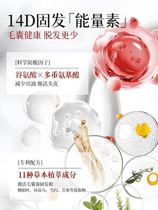 【控油防脱 拯救发际线】LUCENBASE透真防脱固发洗发水 500ml 商品图2