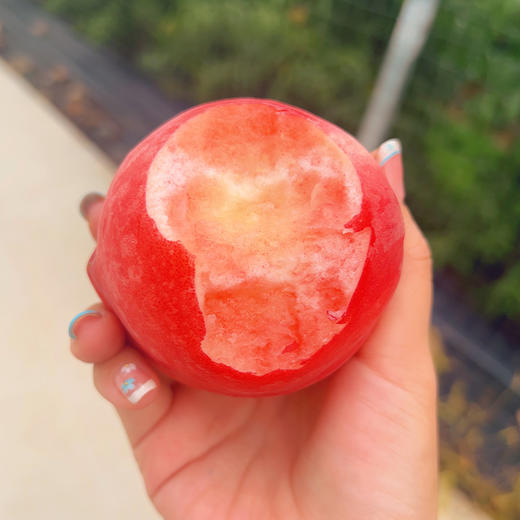 【湖北省内包邮，省外不发】新鲜水果 丹江口六里坪大红桃 脆甜多汁 带箱5.5~6斤左右 （周二发货） 商品图2