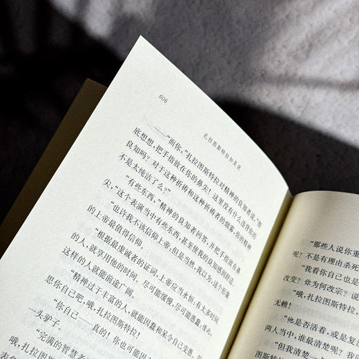 扎拉图斯特拉如是说 尼采全集 注疏版 函套精装版 娄林译 西方现代哲学 商品图13