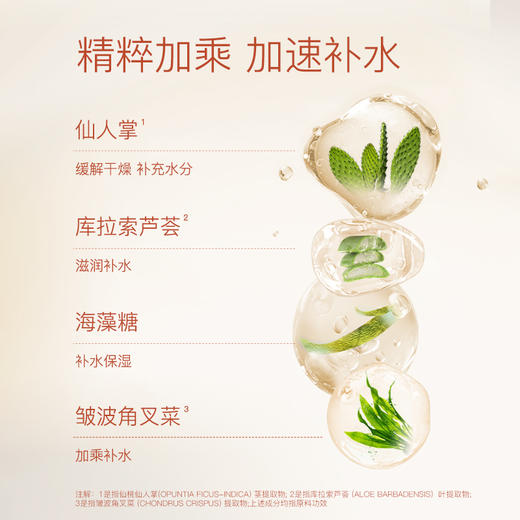 奢思雅滋润补水面膜 商品图2
