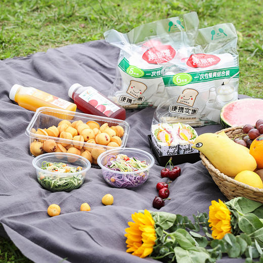 【批发】美丽雅一次性餐具组合餐具套装10人份/袋 商品图8