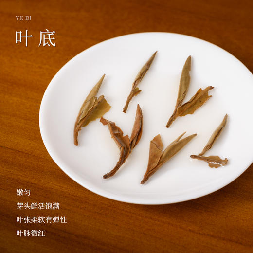 懂茶帝福鼎白茶白牡丹茶云中管阳白茶念念不忘2018年白牡丹230g 商品图3