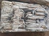 5号海钓鲜鱿鱼5千克 商品缩略图2