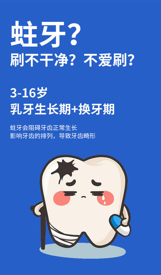 夏普声波电动牙刷DO-NS68KC-RB 商品图8