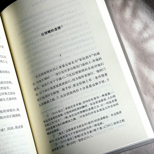 扎拉图斯特拉如是说 尼采全集 注疏版 函套精装版 娄林译 西方现代哲学 商品图10