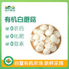 有机白蘑菇230g 商品缩略图0