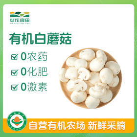 有机白蘑菇230g