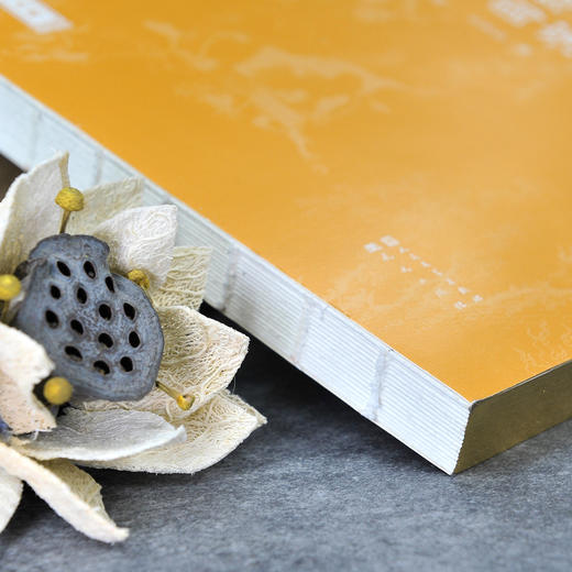 （刷金版）金协中绘全本三国演义 商品图12