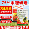 75%甲嘧磺隆非耕地专用除草剂除藤蔓芦苇茅草顽固杂草除草剂正品 商品缩略图3