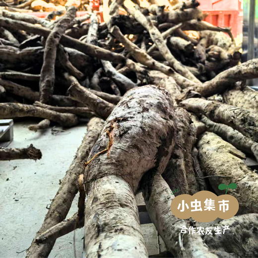 山野采集葛根茶 250g/罐 | 合作农友生产，产自湖北荆门，生产者：阳春府 ＆【公平贸易农人定价】 商品图10