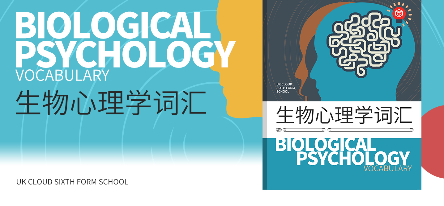 【暑期预学】AL心理学词汇手册—生物心理学