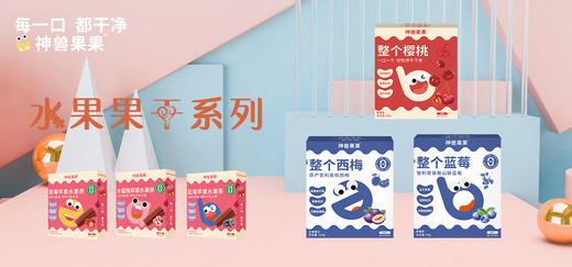 【神兽果果】儿童零食干净配料表无添加孕妇儿童零食草莓果肉条-水果果干系列 商品图0