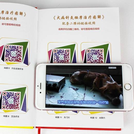 犬病针灸按摩治疗图解 商品图2
