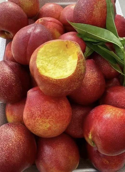 红油桃（盒） 商品图4