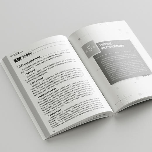 玩透DeepSeek：认知解构+技术解析+实践落地 段玉聪 朱绵茂 梅映天 庞兴梅 著 北京大学出版社 商品图4