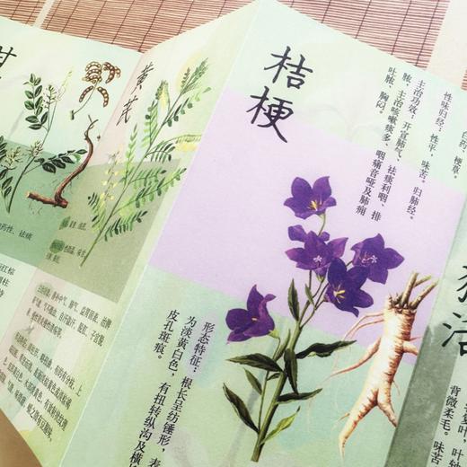 《写给中国人的国医三书》《写给中国人的中医三书》（全6册）中医大师中的大师，经典中的经典，中医养生套餐！ 商品图7